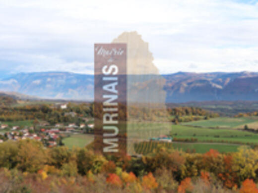 Ça disparaît (magie) image